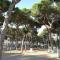 Camping La Buganvilla