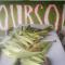 Soursop Hostel