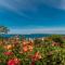 Vacation Home Petar