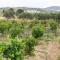 Foto: Naxos Cozy Vineyard 37/41