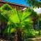 Hostal Lazybones