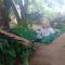 Amba Sewana Homestay