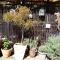 Pennylane Guest House