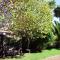 Pennylane Guest House - Ermelo