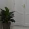 B&B Domus Palmi