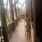 Appartment in heart of tbilisi