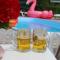 Guest House Kamenny Dom