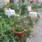 Delano Bed and Breakfast