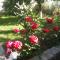 Rooms Veska