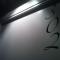 Hostal Ribas