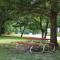 The Cottage Resort