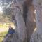 B & B Monte Adamo