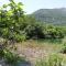 Camp Sunny Hills