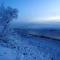 Varangertunet bed & breakfast