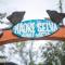 Madre Selva Hostel - Puerto Viejo