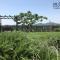 Apartma Sobe Pulec