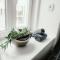 Wake Up Wellness Hostel by goodnite cz