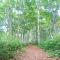 Blueberry Pension Madarao