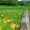 Blueberry Pension Madarao
