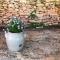 Pech Blanc, Charming BB in Southwest France