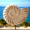 Derveni Seaside Apartments - Deluxe Sea View Penthouse Jacuzzi-BBQ & Groundfloor Garden View Apartment