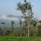 Best Mist - Idukki