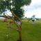 Les Logis de Kerdrien photo 11