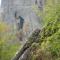 Meteora Garden