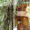 Topos Tree House Topos Tree House