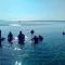 Bentrina Diving Resort