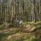 Spicers Peak Lodge
