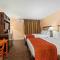 The Lemon Tree Hotel