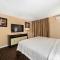 The Lemon Tree Hotel