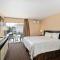 The Lemon Tree Hotel
