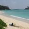 Island Cove
