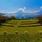 Hotel Atitlan