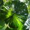 Port Douglas Retreat