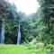 Tereng Wilis Jungle Inn