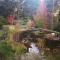 Windrush on Hogsback