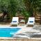 Olivegrove Villa - Nestled in Olive Trees with Private Pool, by ZanteWize - 查加基恩
