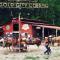 Forrest Hills Mountain Resort - Dahlonega