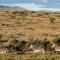 Mount Camdeboo Private Game Reserve by NEWMARK - Graaff-Reinet