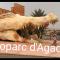 Résidence Tafoult Imiouadar près de Taghazout Agadir
