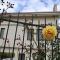 Exclusive Big Villa, Villa 6