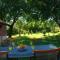 Apartman Sun Solin