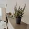 Apartman M5