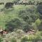 Ecorefugio Las Mirlas