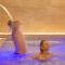 Hotel Lory My Wellness SPA - Chianciano Terme