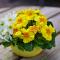 Jugendherberge Flensburg - Membership required