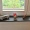 Appartements Moselblick